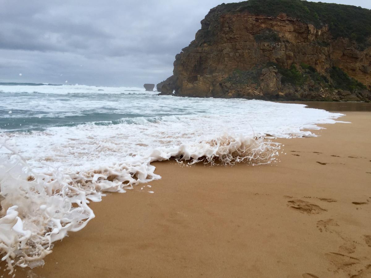 Clifton Beach Lodge Port Campbell Dış mekan fotoğraf