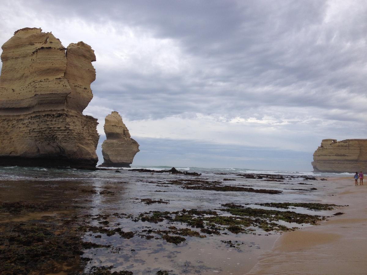 Clifton Beach Lodge Port Campbell Dış mekan fotoğraf